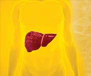 Liver Disease