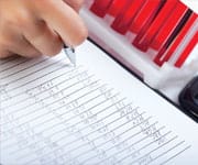 cardiovascular system