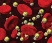 body,lipid,treatment,blood