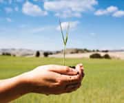 holding crop in hands