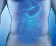 The gut microbiome of red meat eaters is different from vegetarians.