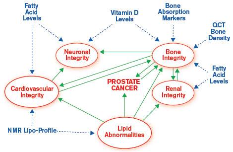 THE WHOLISTIC NATURE OF HEALTH IN RELATION TO PROSTATE CANCER.