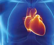 Chronic Inflammation Impacts Healthy Aging