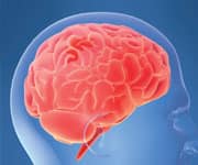 Omega-3 Fatty Acid Could Help Protect the Brain From Effects of Alcohol