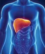 Reishi Combats Aging