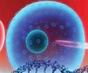 World Stem Cell Summit 2012