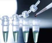 Artificial Organs from Stem Cells