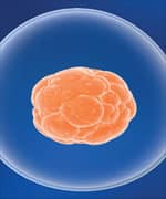 Breakthrough Clinical Potential of Stem Cell Therapy