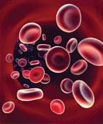 blood inside an artery