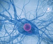 Lab Technician Working with Blood Samples