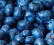 Blueberries