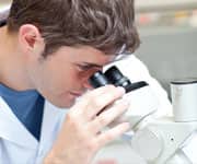 Previously Deemed “Safe” Levels of Sugar May Reduce Life Span