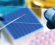 Choline Improves Memory and Attention in Rodents