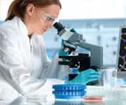 Cooked Lentils Nutritional Facts, One Cu