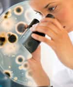 Surprising Effects of Probiotics Outside the Intestinal Tract