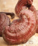 Reishi Mushroom Boosts Immune Vitality