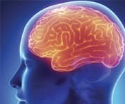 Health ABC Studies D