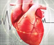 How Tocotrienols Protect Your Heart