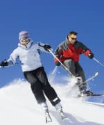 Boswellia New Studies Show Effective Pain Relief