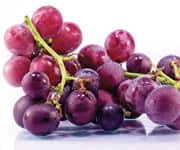 Resveratrol Improves Memory And Glucose Metabolism In Older Men And Women