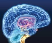 Fish Oil Associated With Brain Volume Preservation