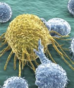 Chlorophyllin Protects Against Environmental Carcinogens