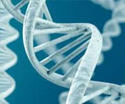 Chlorophyllin Reduces Oxidative Damage