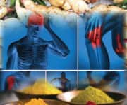 Bio-Enhanced TURMERIC Compounds Block Multiple Inflammatory Pathways