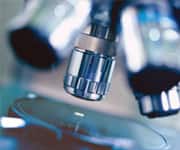 Calcium And Vitamin D Improve Bone Density As Well As Fracture-Preventing Drug In Men