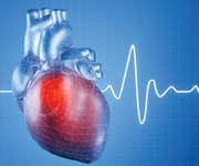 Mediterranean Diet Associated With Lower Risk Of Mortality Over 7 Years Of Follow-up In Men And Women With Cardiovascular Disease