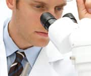 Resveratrol Regenerated Following Metabolism