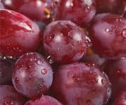 Resveratrol Improves Glucose And Other Factors in Clinical Trial