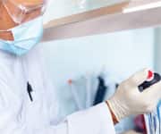 Mulberry’s Mechanisms of Action