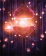 Role Of Vitamin D In Autism