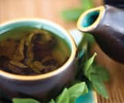Green Tea Inhibits Hypoperfusion Damage