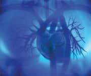 Improved Physician Awareness Increases Deficiency Diagnoses