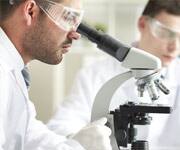 Topical Versus Oral Sunscreen