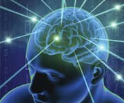 Mechanism Proposed That Links Decreased Levels Of Vitamin D And Serotonin In Autism Patients