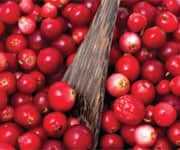 Protect Urinary Tract Health With Cranberry