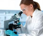 Five-Fold Increase In Life Span