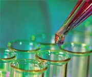 How Vitamin D Works Against MS