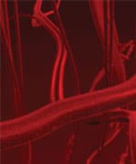 Nutraceuticals To Prevent Leukoaraiosis