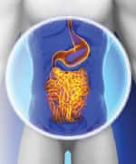 Probiotics Provide Vital Protection against Chronic Disease