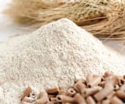 Six Factors Behind Gut Imbalance