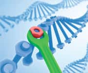 Compounds That Facilitate DNA Repair