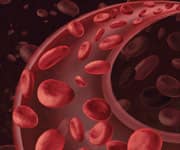 Lycopene Supplementation Aids Blood Vessel Function In Heart Disease Patients 