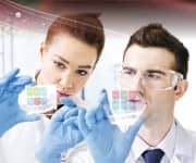 Enhance Endothelial Health How Pomegranate Protects Against Atherosclerosis