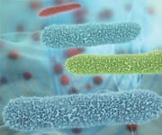 The Gut Microbiome