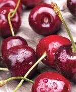 Tart Cherries Offer Potent Protection