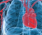 Cardiovascular Risks Overlooked In Antidiabetes Drug Trials
